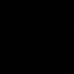 Meet your Posher, Jess